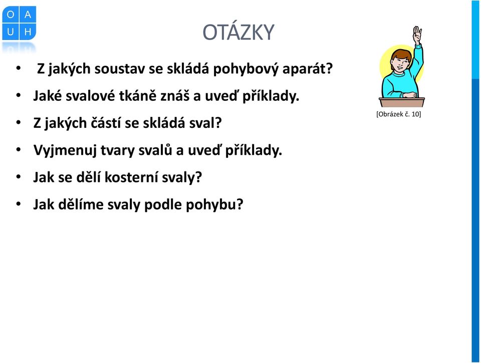 Z jakých částí se skládá sval?