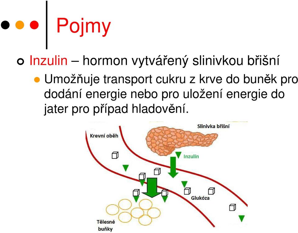 do buněk pro dodání energie nebo pro