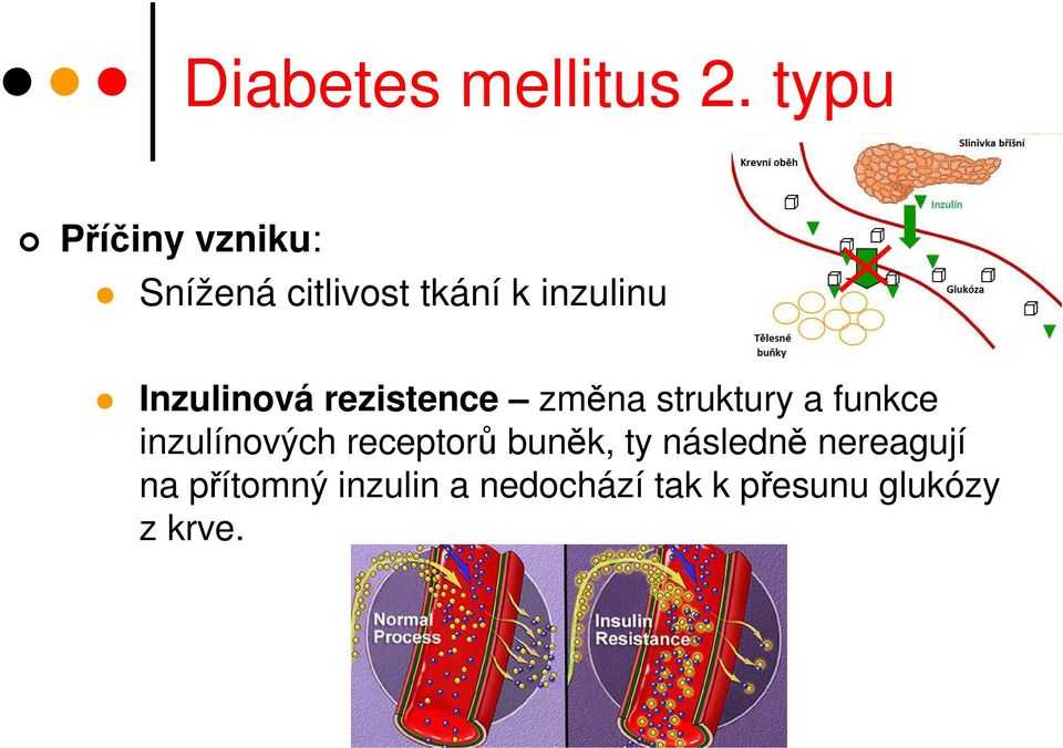 Inzulinová rezistence změna struktury a funkce inzulínových