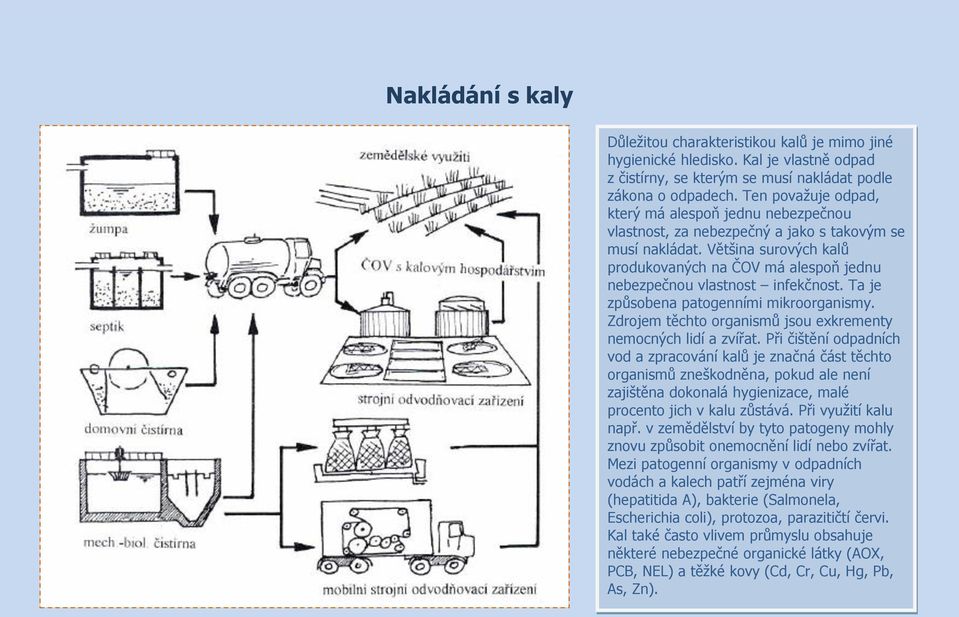 Většina surových kalů produkovaných na ČOV má alespoň jednu nebezpečnou vlastnost infekčnost. Ta je způsobena patogenními mikroorganismy.