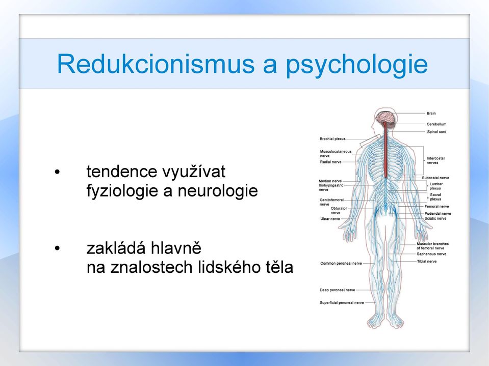 a neurologie zakládá hlavně