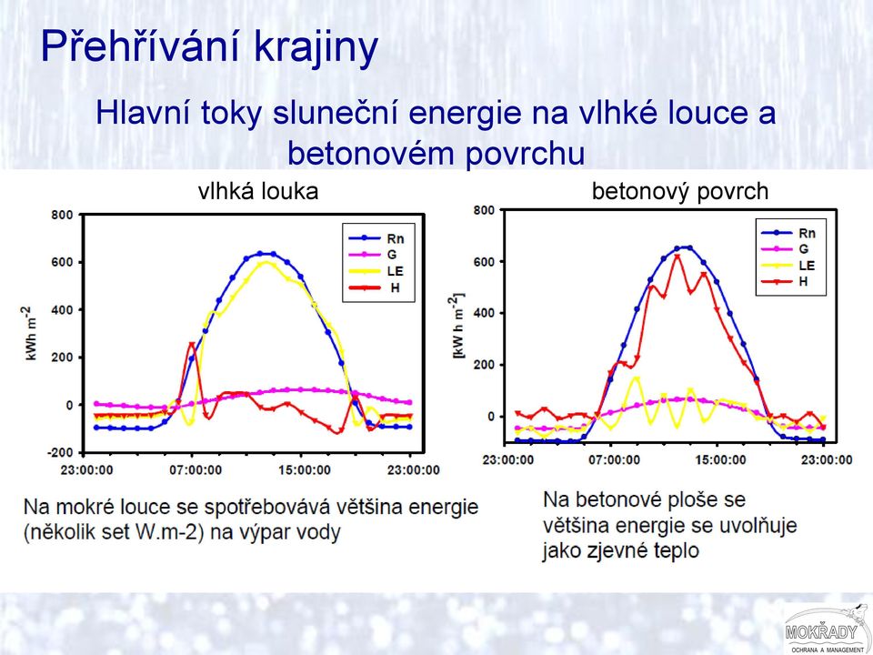 vlhké louce a betonovém