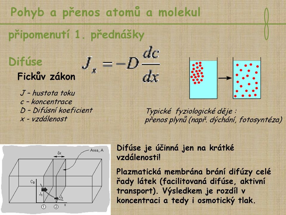 Typické fyziologické děje : přenos plynů (např.