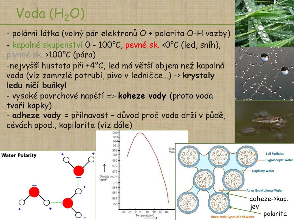 >100 C (pára) -nejvyšší hustota při +4 C, led má větší objem než kapalná voda (viz zamrzlé potrubí, pivo v ledničce )