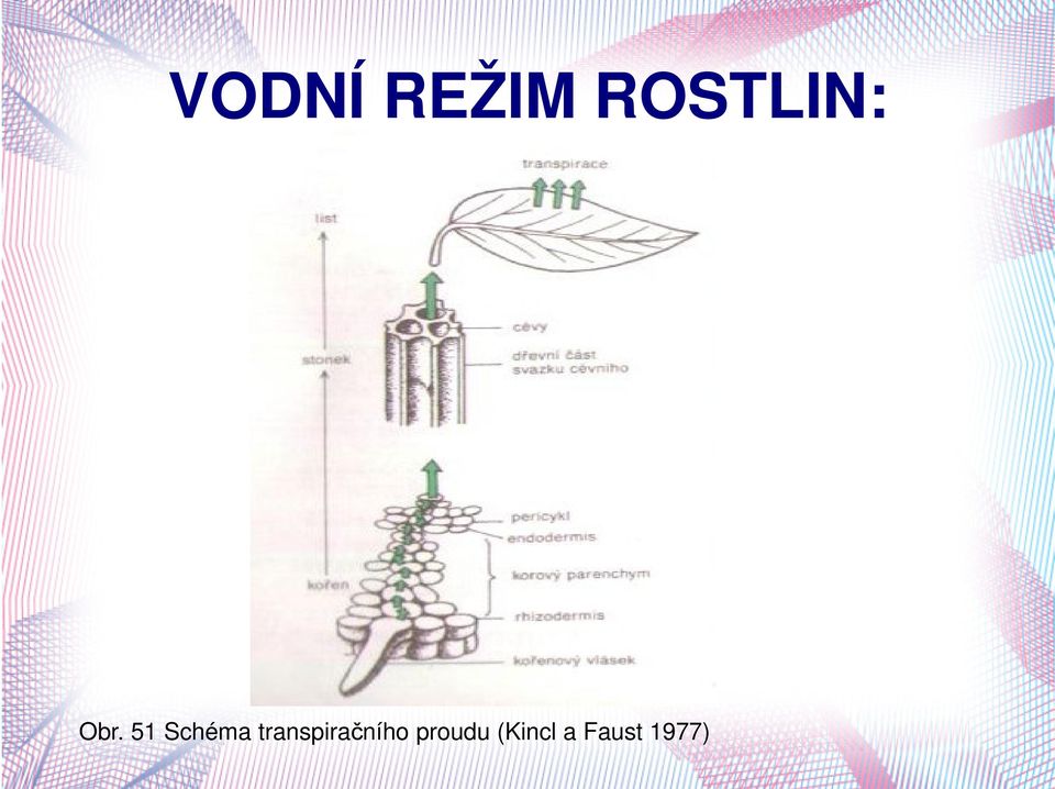 proudu (Kincl