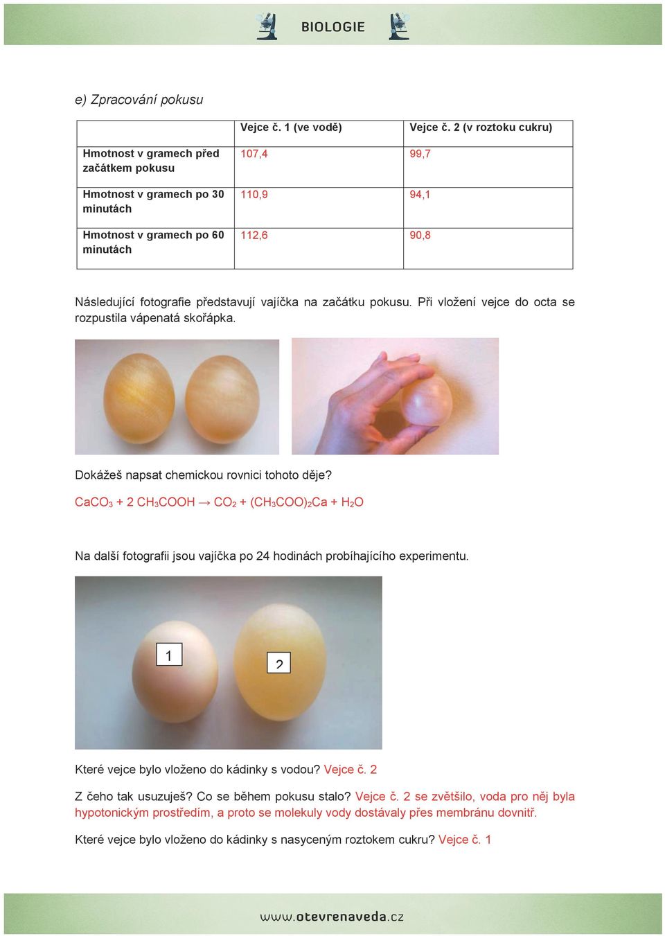 vajíčka na začátku pokusu. Při vložení vejce do octa se rozpustila vápenatá skořápka. Dokážeš napsat chemickou rovnici tohoto děje?