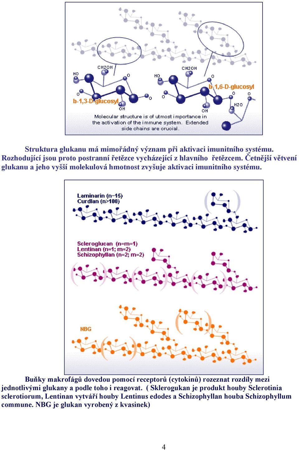 Četnější větvení glukanu a jeho vyšší molekulová hmotnost zvyšuje aktivaci imunitního systému.