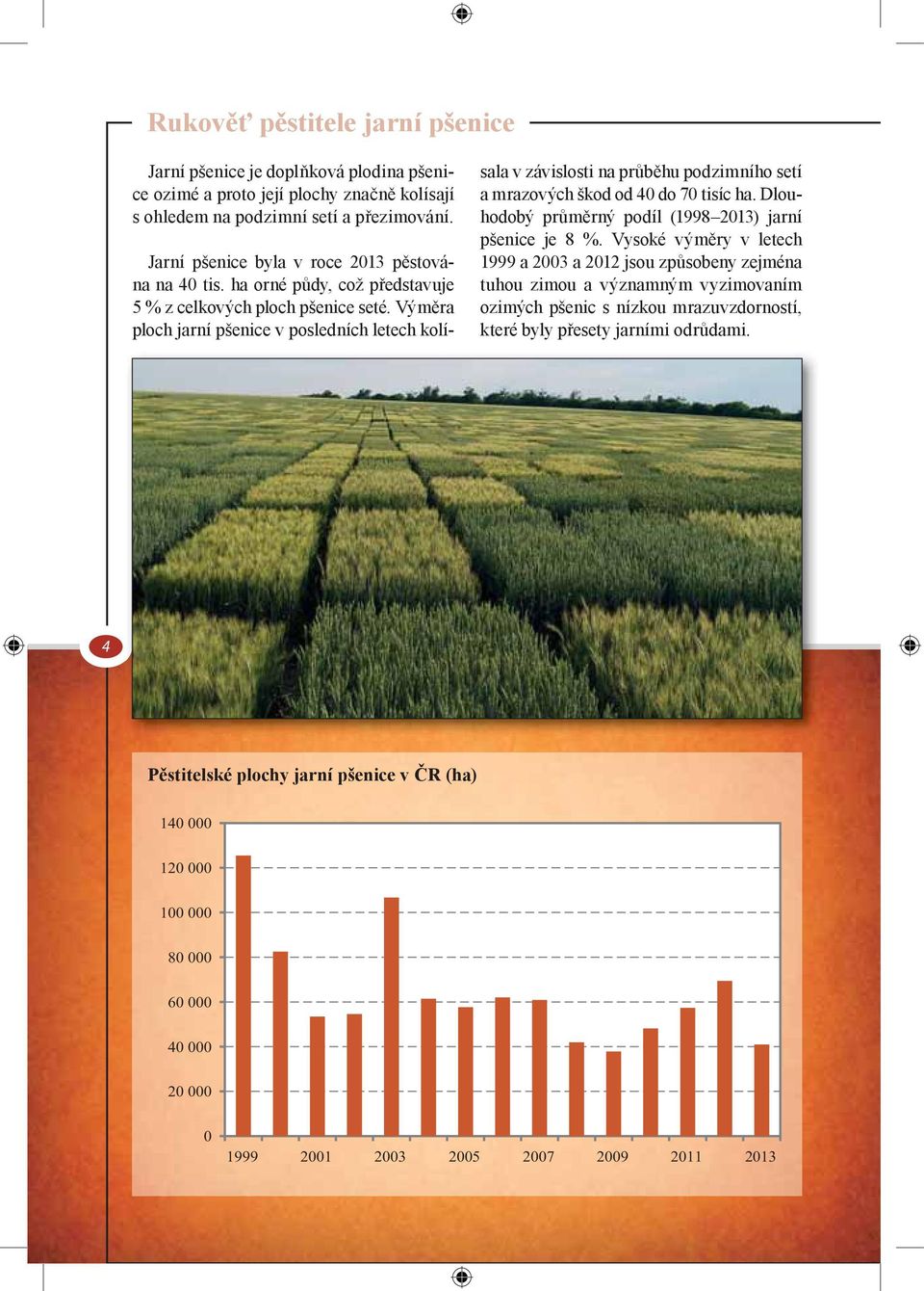 Výměra ploch jarní pšenice v posledních letech kolísala v závislosti na průběhu podzimního setí a mrazových škod od 40 do 70 tisíc ha. Dlouhodobý průměrný podíl (1998 2013) jarní pšenice je 8 %.