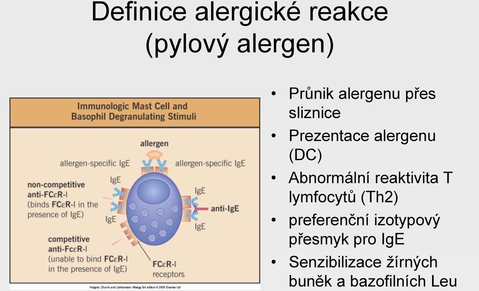 Abnormální reaktivita T lymfocytů (Th2) preferenční