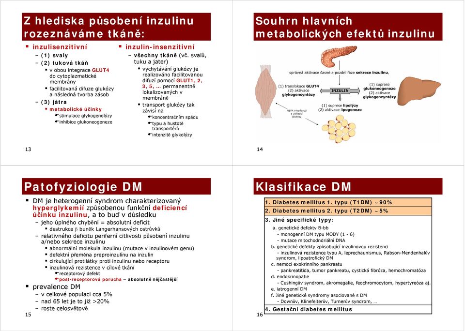 svalů, tuku a jater) vychytávání glukózy je realizováno facilitovanou difuzí pomocí GLUT1, 2, 3, 5, permantně lokalizovaných v membráně transport glukózy tak závisí na koncentračním spádu typu a