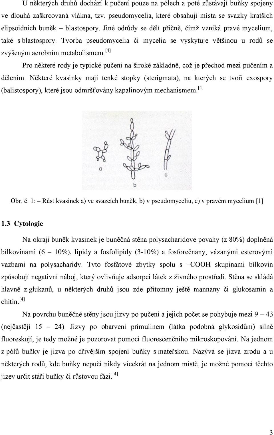 tzv. pseudomycelia, které obsahují místa se svazky kratších elipsoidních buněk blastospory. Jiné odrůdy se dělí příčně, čímž vzniká pravé mycelium, také s blastospory.