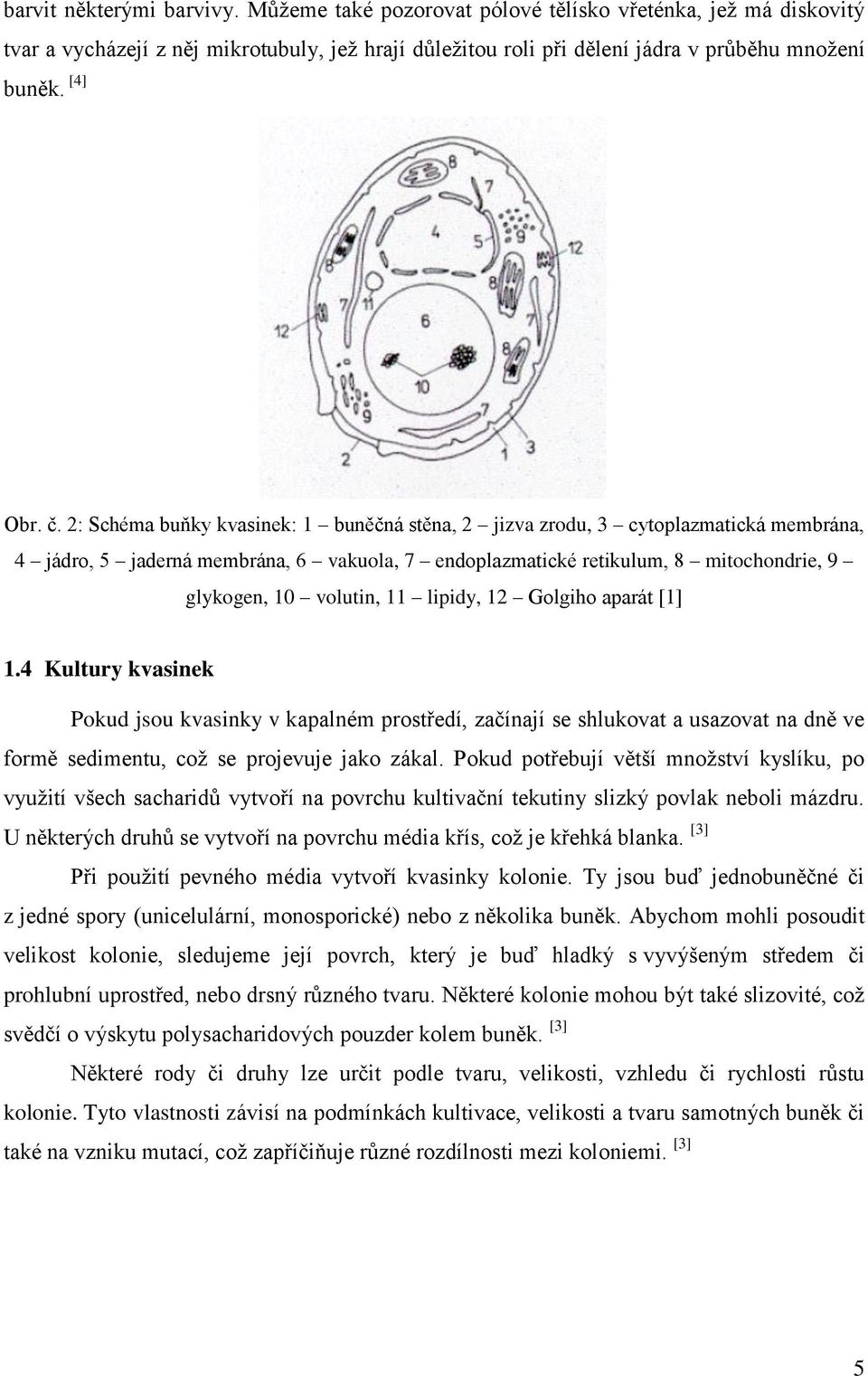 2: Schéma buňky kvasinek: 1 buněčná stěna, 2 jizva zrodu, 3 cytoplazmatická membrána, 4 jádro, 5 jaderná membrána, 6 vakuola, 7 endoplazmatické retikulum, 8 mitochondrie, 9 glykogen, 10 volutin, 11