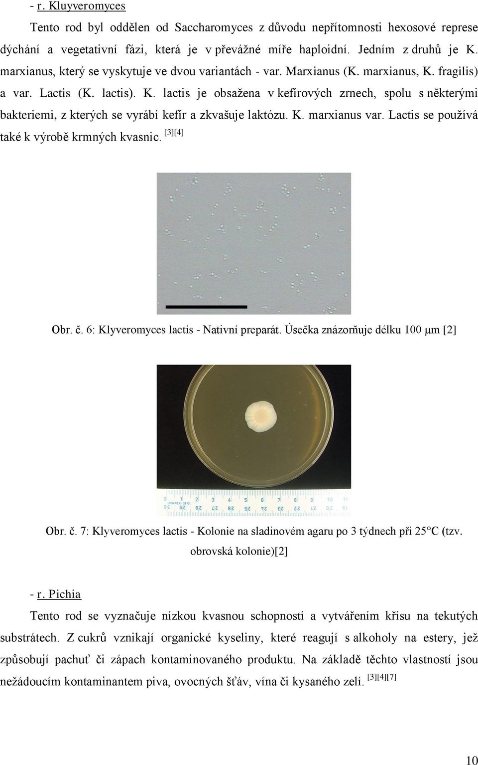 K. marxianus var. Lactis se používá také k výrobě krmných kvasnic. [3][4] Obr. č. 6: Klyveromyces lactis - Nativní preparát. Úsečka znázorňuje délku 100 µm [2] Obr. č. 7: Klyveromyces lactis - Kolonie na sladinovém agaru po 3 týdnech při 25 C (tzv.