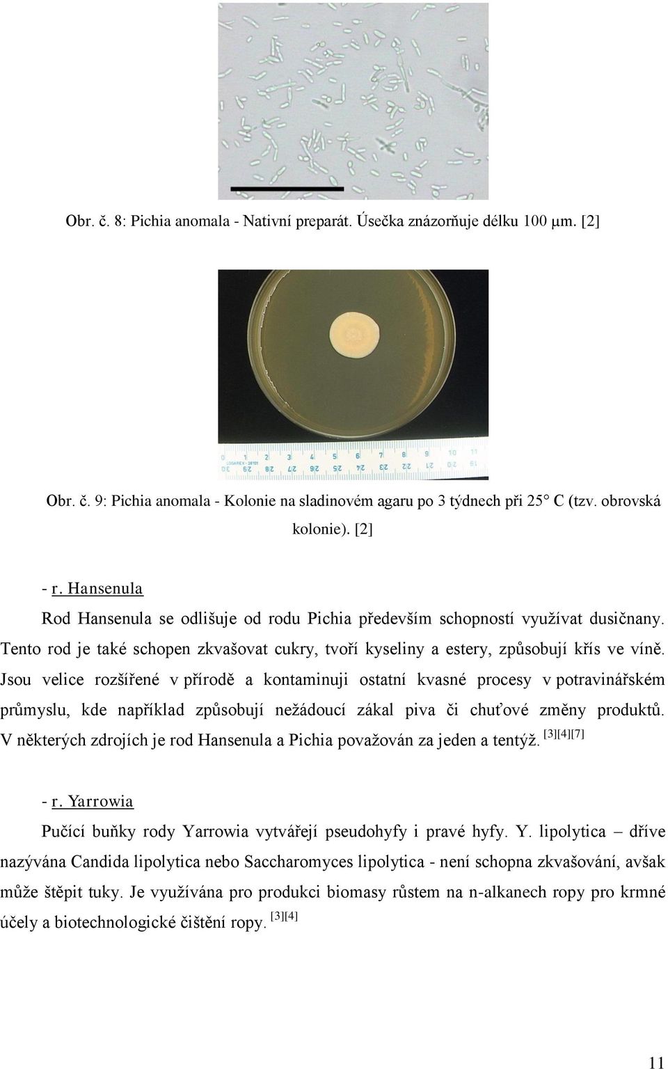 Jsou velice rozšířené v přírodě a kontaminuji ostatní kvasné procesy v potravinářském průmyslu, kde například způsobují nežádoucí zákal piva či chuťové změny produktů.