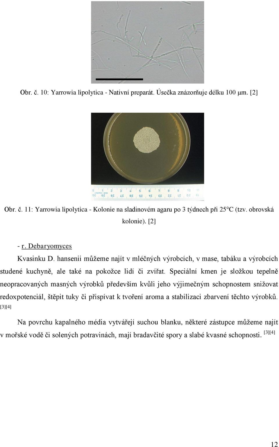 Speciální kmen je složkou tepelně neopracovaných masných výrobků především kvůli jeho výjimečným schopnostem snižovat redoxpotenciál, štěpit tuky či přispívat k tvoření aroma a stabilizaci
