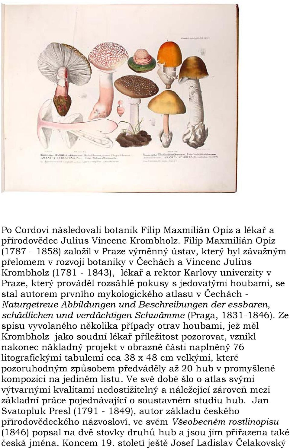 Praze, který prováděl rozsáhlé pokusy s jedovatými houbami, se stal autorem prvního mykologického atlasu v Čechách - Naturgetreue Abbildungen und Beschreibungen der essbaren, schädlichen und