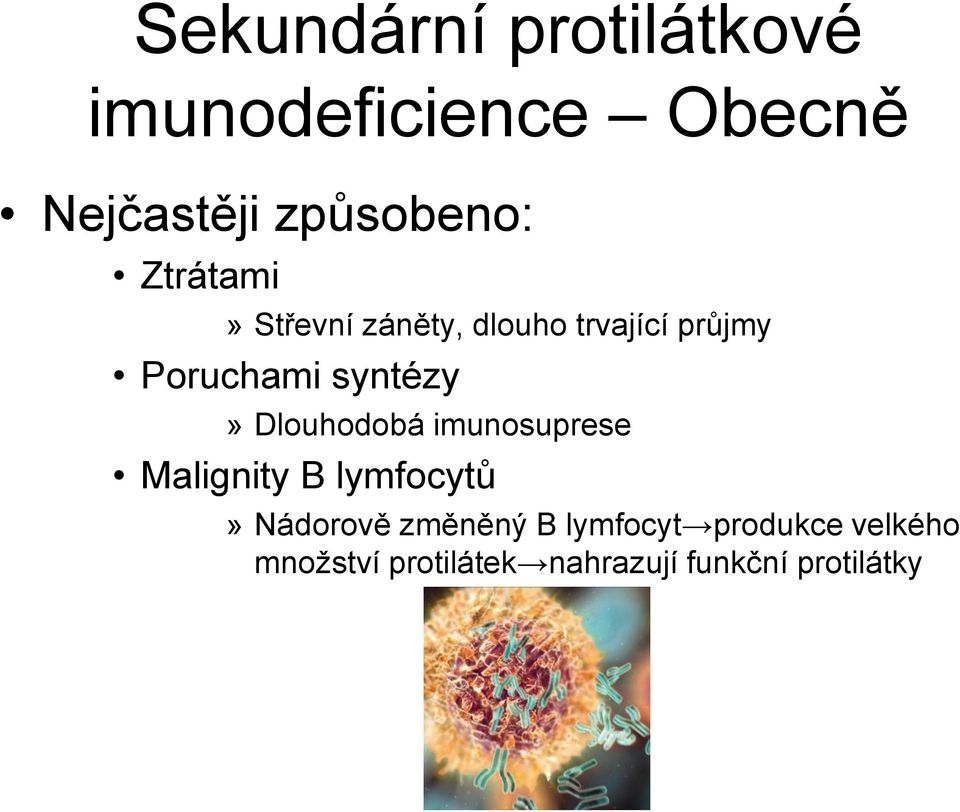 Dlouhodobá imunosuprese Malignity B lymfocytů» Nádorově změněný B