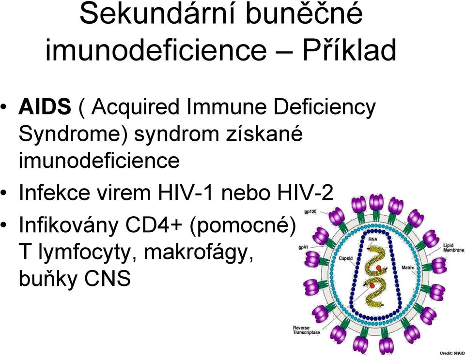 imunodeficience Infekce virem HIV-1 nebo HIV-2