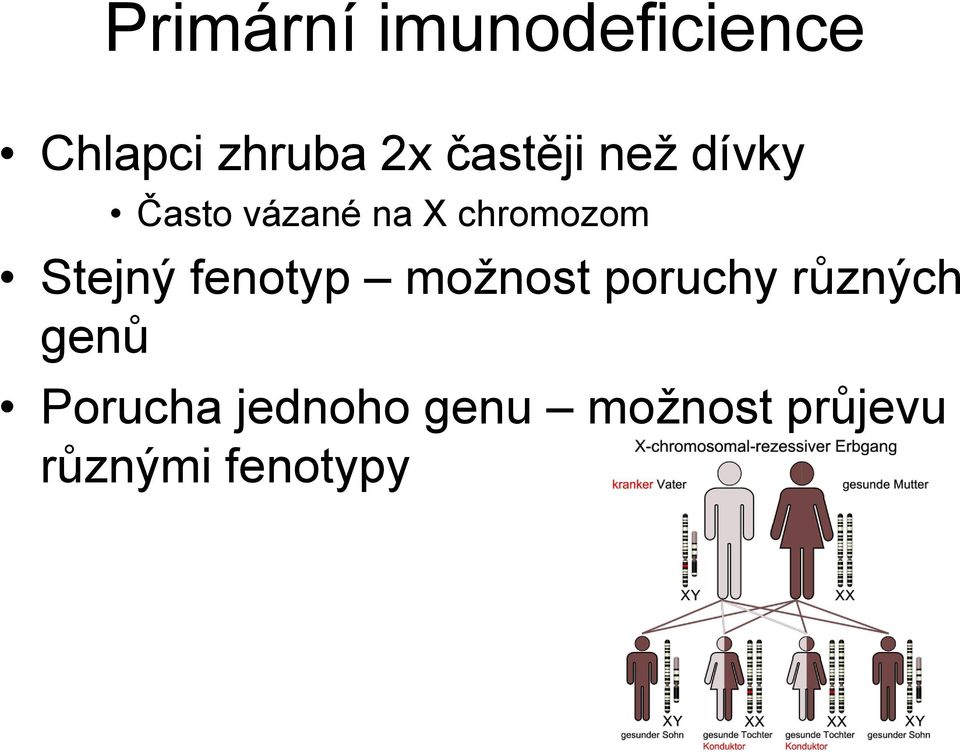 Stejný fenotyp možnost poruchy různých genů