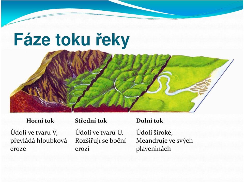 ve tvaru U.