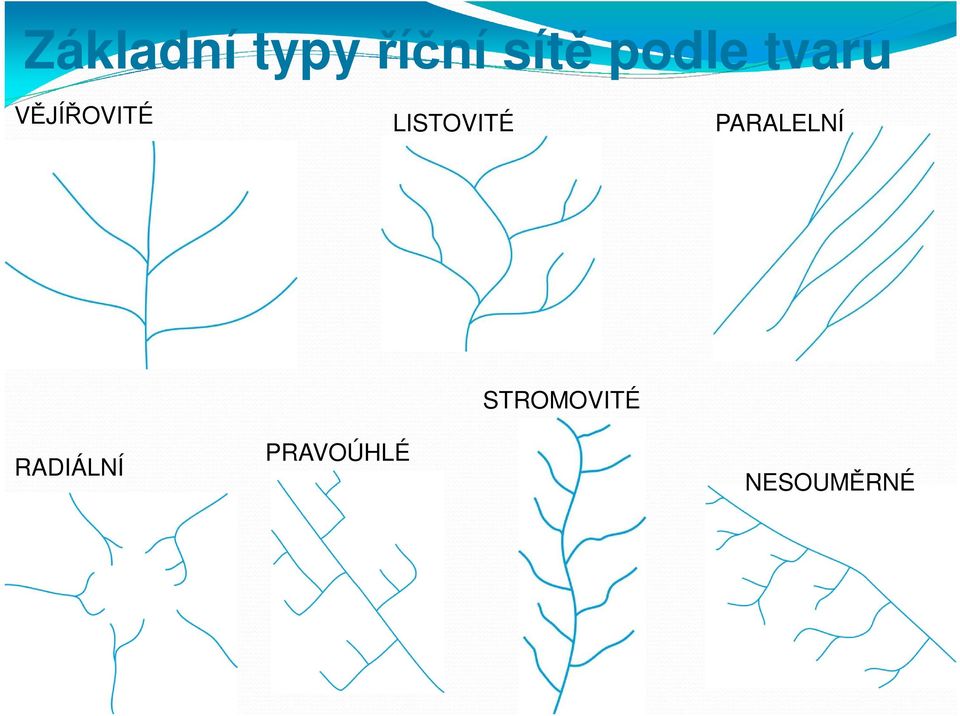 LISTOVITÉ PARALELNÍ