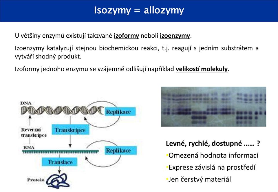 Izoformy jednoho enzymu se vzájemně odlišují například velikostí molekuly.