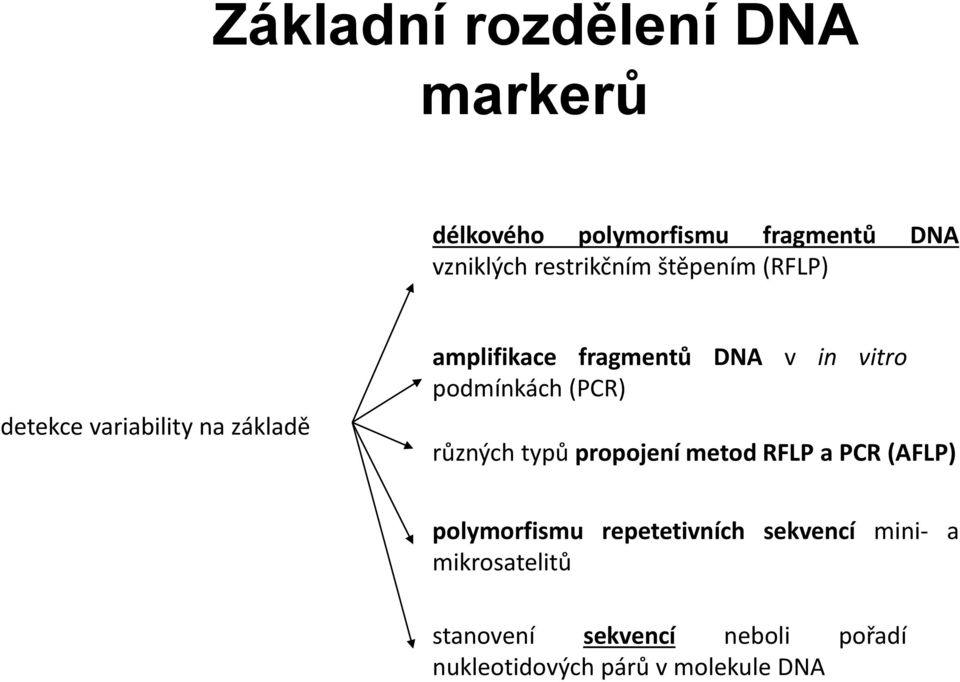 podmínkách (PCR) různých typů propojení metod RFLP a PCR (AFLP) polymorfismu repetetivních