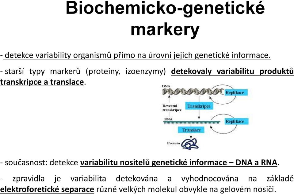 - současnost: detekce variabilitu nositelů genetické informace DNA a RNA.