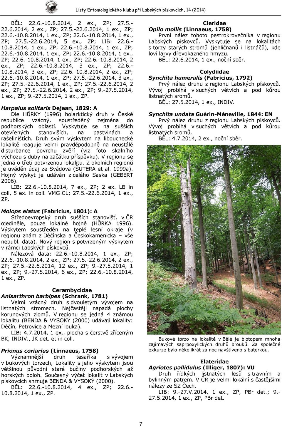 -27.5.2014, 1 ex., ZP; 9.-27.5.2014, 1 ex., ZP. Harpalus solitaris Dejean, 1829: A Dle HŮRKY (1996) holarktický druh v České republice vzácný, soustředěný zejména do podhorských oblastí.