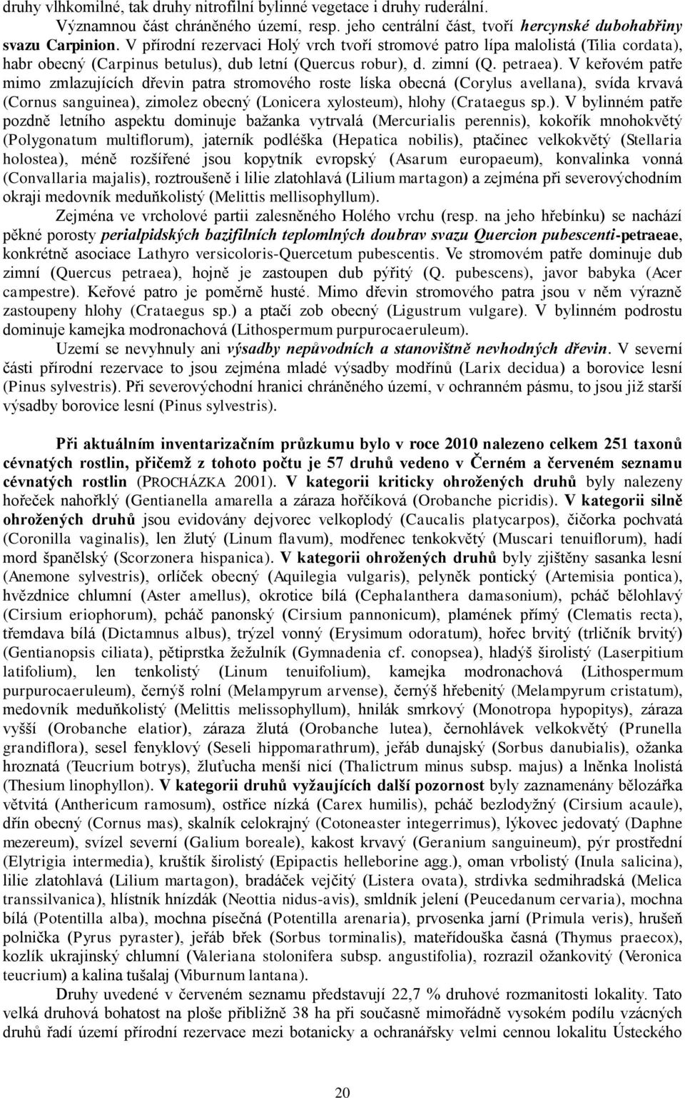 V keřovém patře mimo zmlazujících dřevin patra stromového roste líska obecná (Corylus avellana),