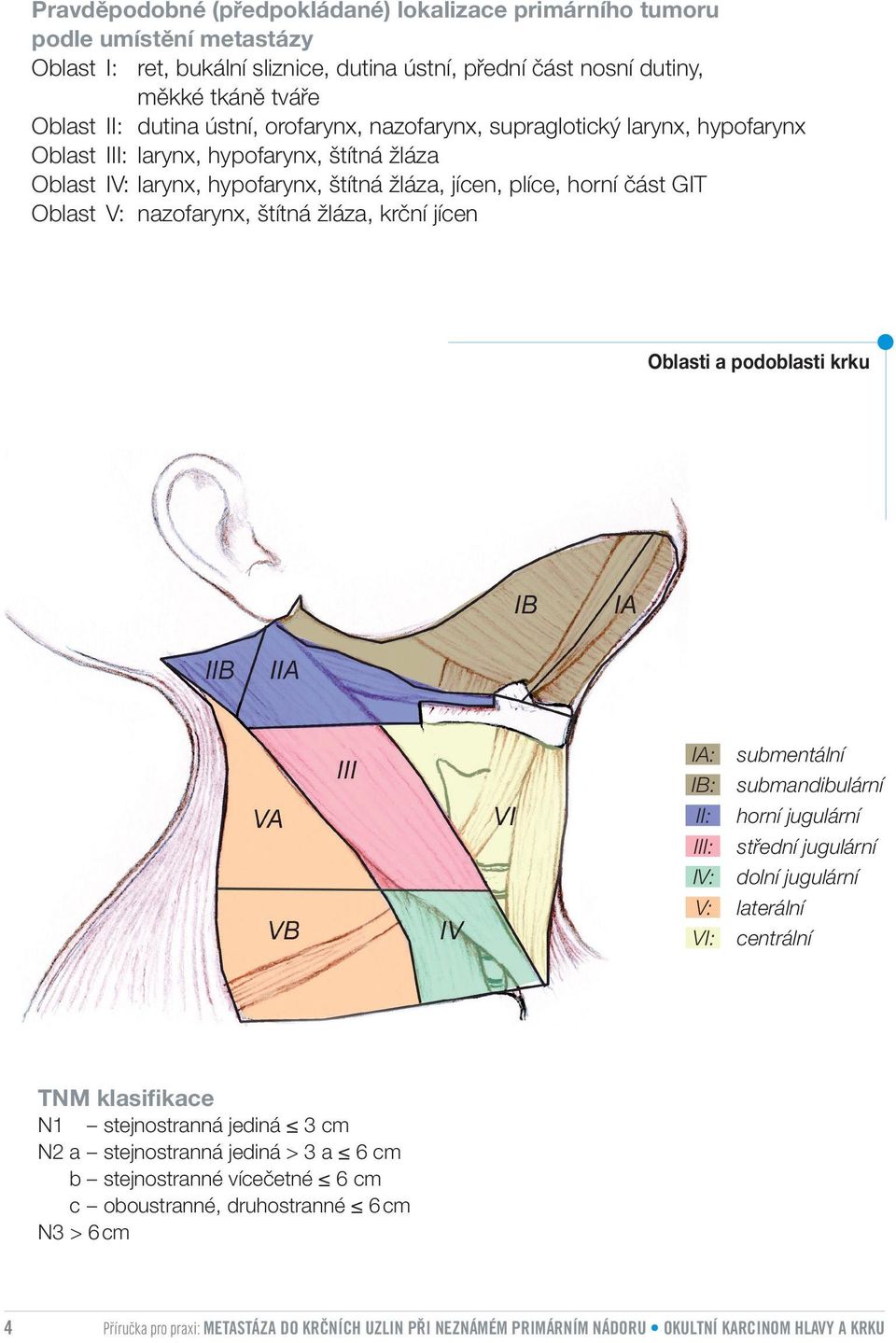 štítná žláza, krční jícen Oblasti a podoblasti krku IA: submentální IB: submandibulární II: horní jugulární III: střední jugulární IV: dolní jugulární V: laterální VI: centrální TNM klasifikace N1