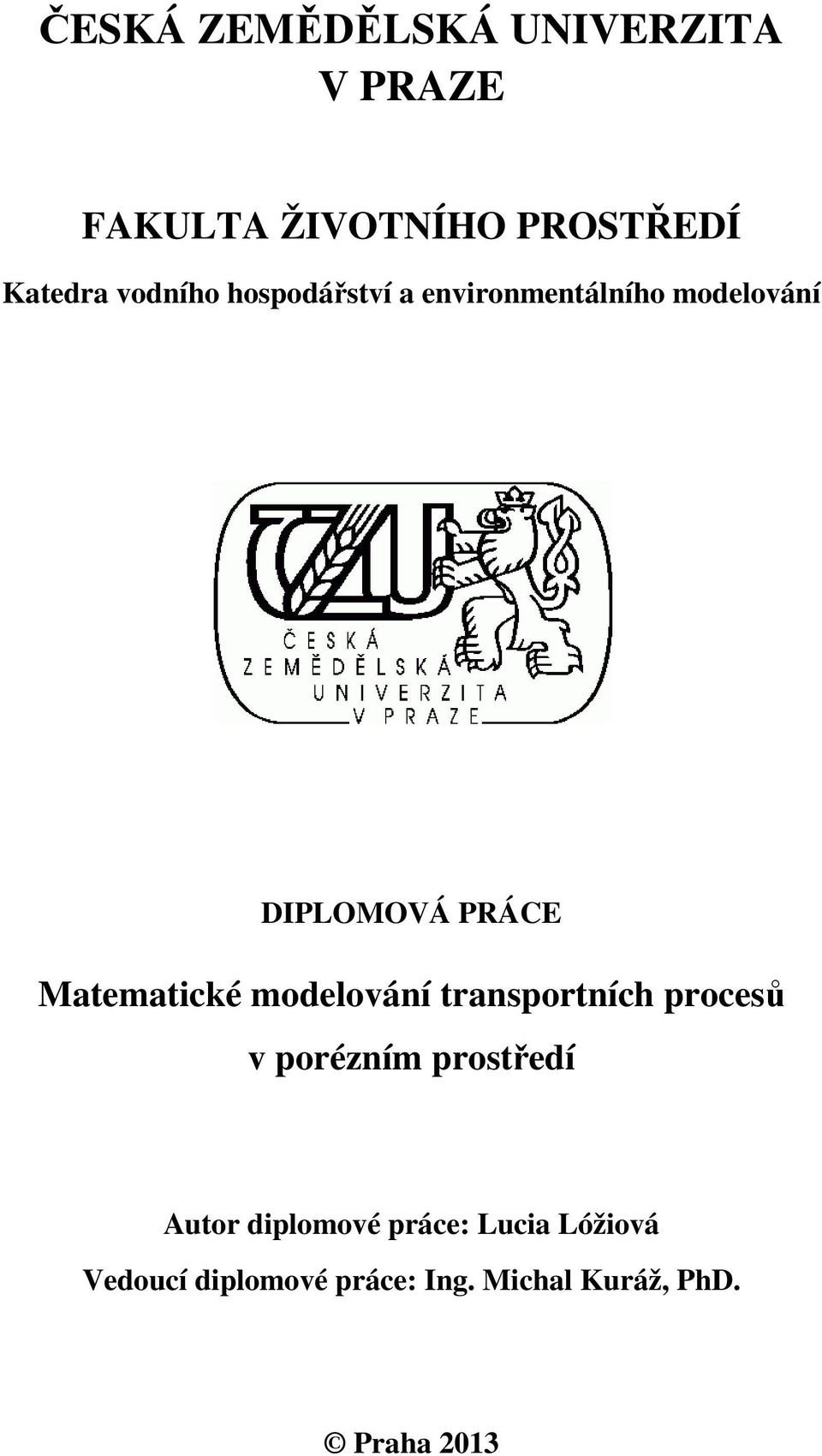 Matematické modelování transportních procesů v porézním prostředí Autor