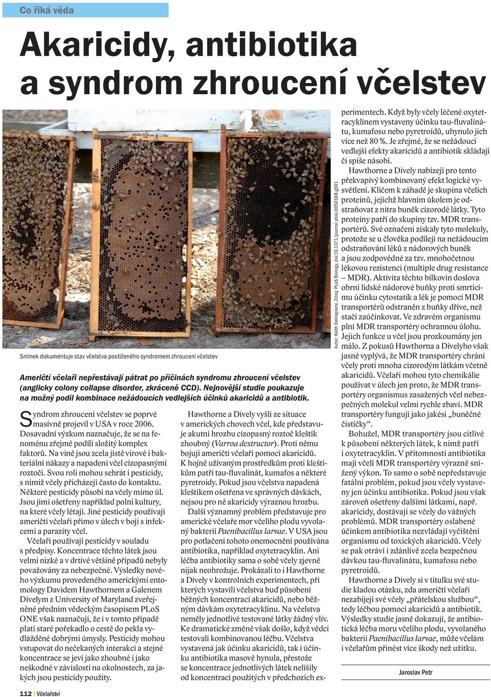 Syndrom zhroucení včelstev se poprvé masivně projevil v USA v roce 2006. Dosavadní výzkum naznačuje, že se na fenoménu zřejmě podílí složitý komplex faktorů.