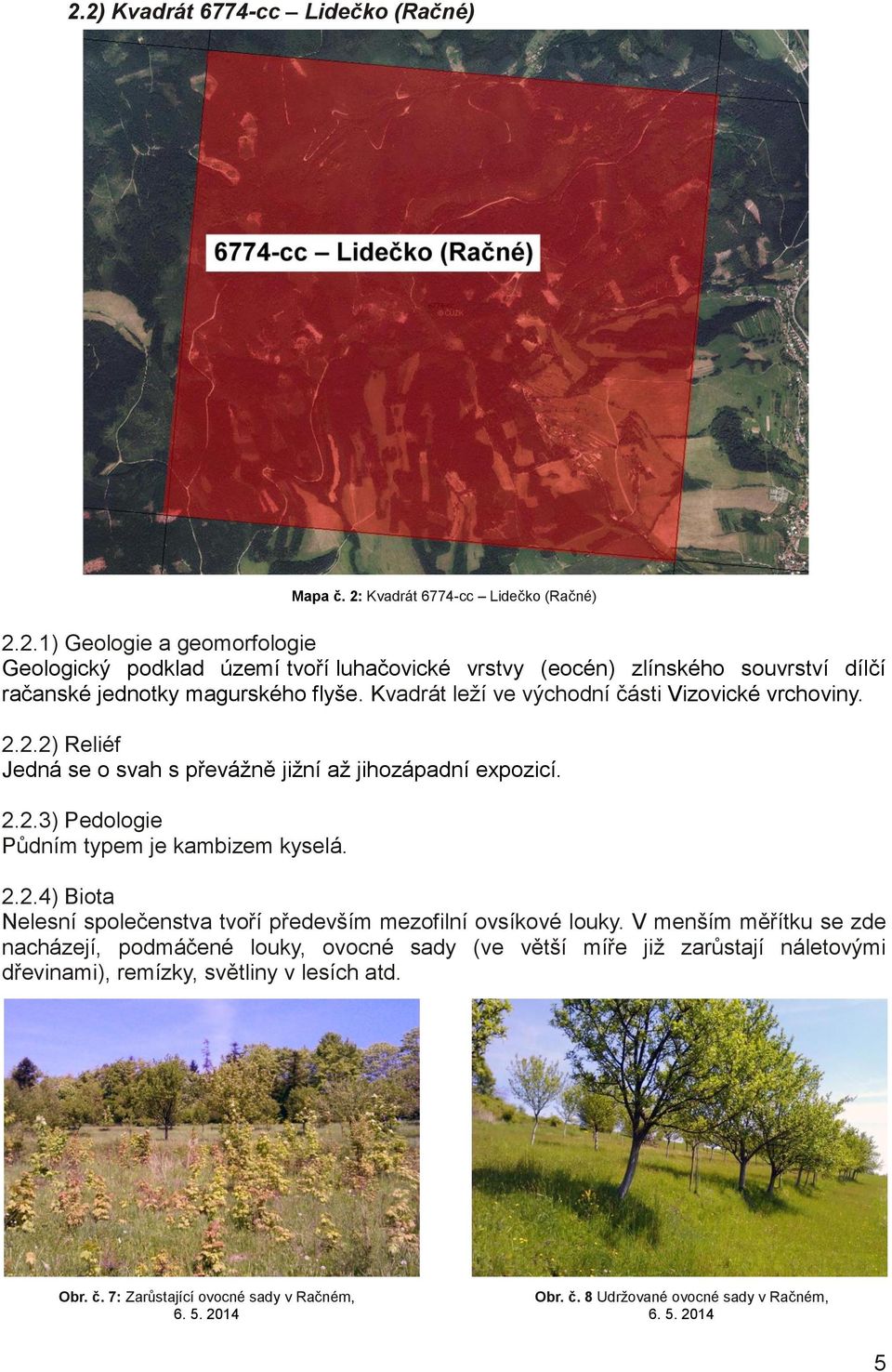 V menším měřítku se zde nacházejí, podmáčené louky, ovocné sady (ve větší míře již zarůstají náletovými dřevinami), remízky, světliny v lesích atd. Obr. č.