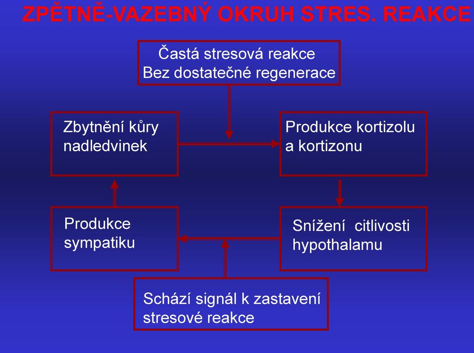 Zbytnění kůry nadledvinek Produkce kortizolu a kortizonu