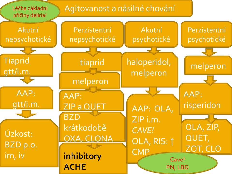 Perzistentní psychot