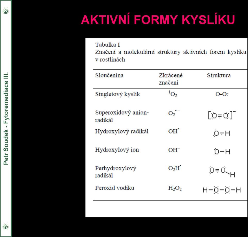 KYSLÍKU