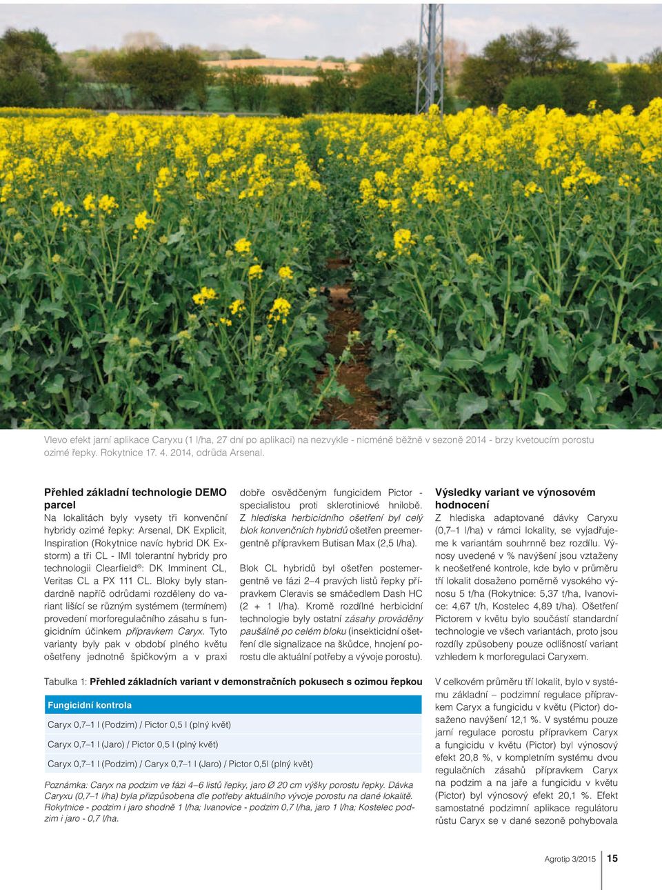 hybridy pro technologii Clearfield : DK Imminent CL, Veritas CL a PX 111 CL.