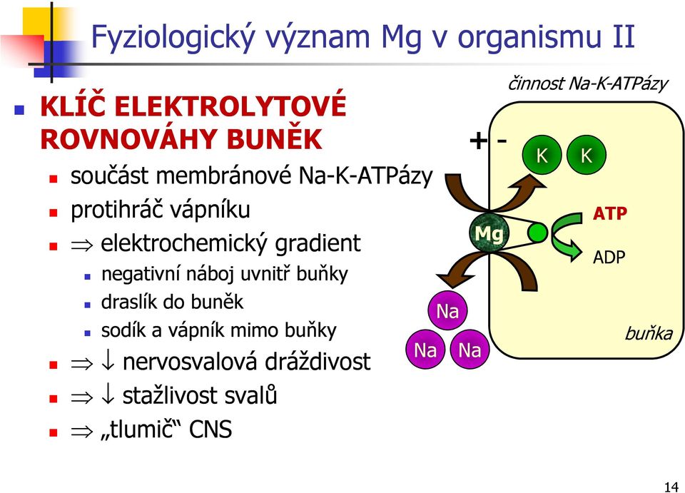 náboj uvnitř buňky draslík do buněk sodík a vápník mimo buňky nervosvalová