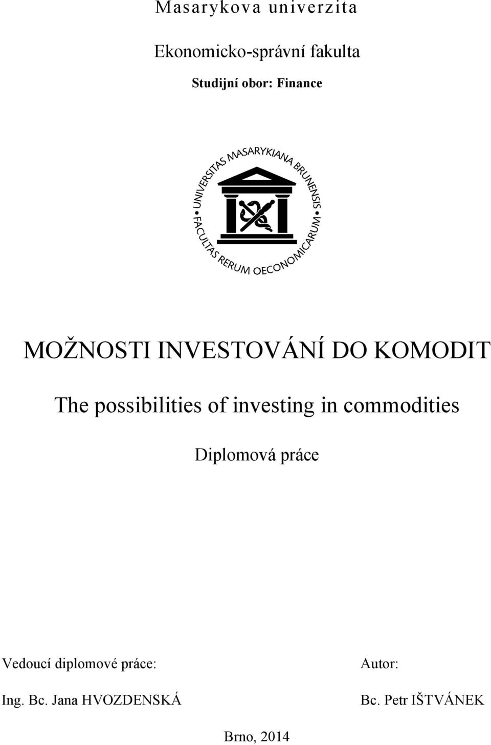 possibilities of investing in commodities Diplomová práce