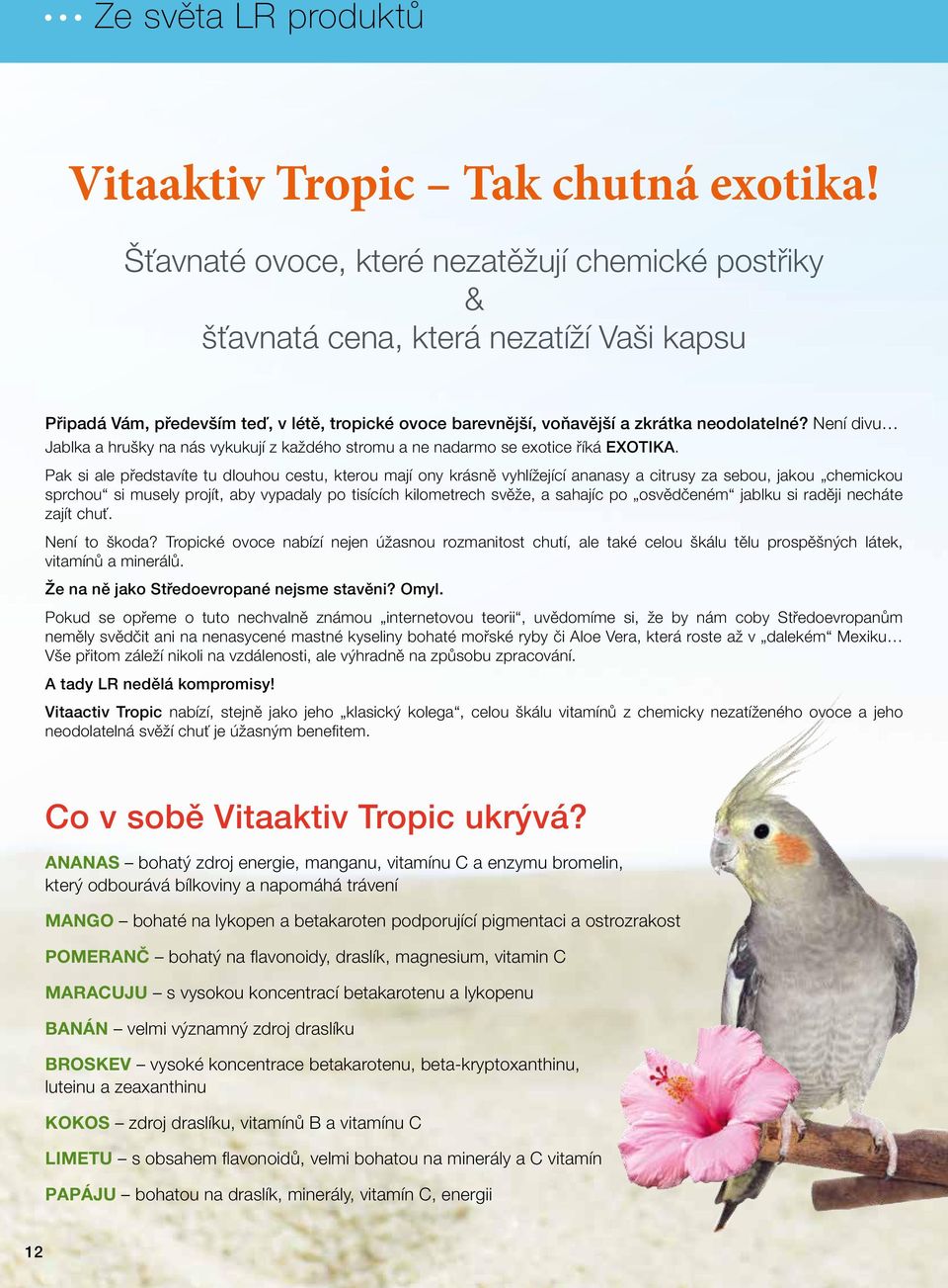 Není divu Jablka a hrušky na nás vykukují z každého stromu a ne nadarmo se exotice říká EXOTIKA.