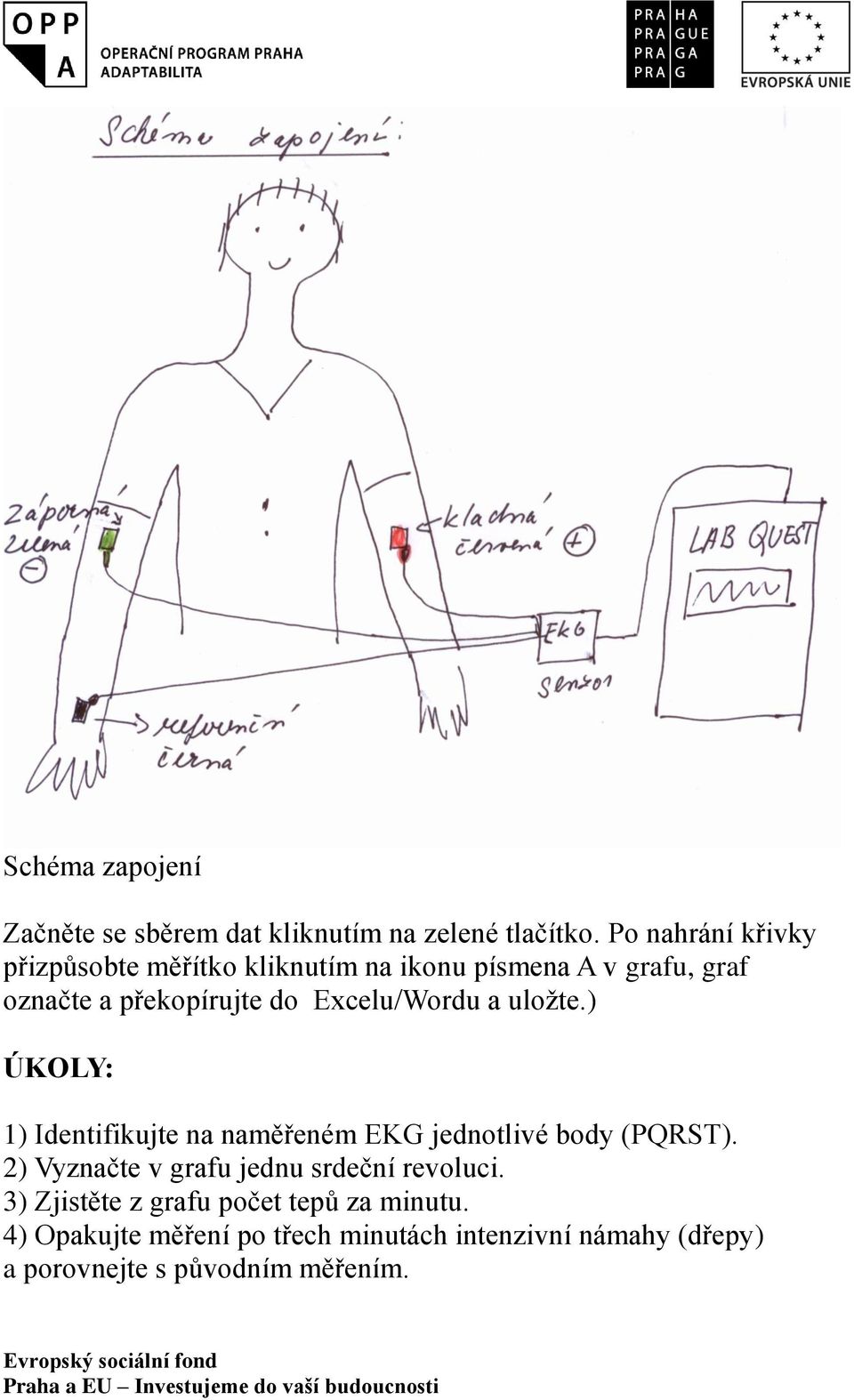 Excelu/Wordu a uložte.) ÚKOLY: 1) Identifikujte na naměřeném EKG jednotlivé body (PQRST).