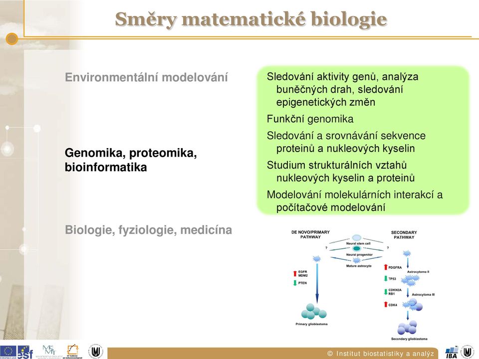 Sledování a srovnávání sekvence proteinů a nukleových kyselin Studium strukturálních vztahů