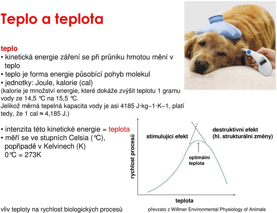 Jelikož měrná tepelná kapacita vody je asi 4185 J kg 1 K 1, platí tedy, že 1 cal 4,185 J.