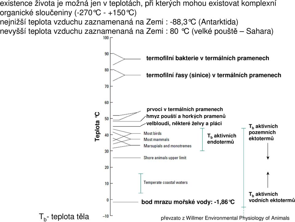 (sinice) v termálních pramenech Teplota C prvoci v termálních pramenech hmyz pouští a horkých pramenů velbloudi, některé želvy a pláci T b aktivních endotermů T b