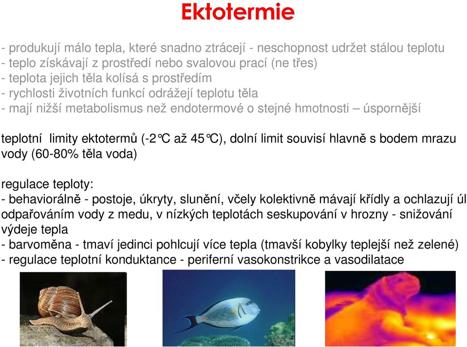 bodem mrazu vody (60-80% těla voda) regulace teploty: - behaviorálně - postoje, úkryty, slunění, včely kolektivně mávají křídly a ochlazují úl odpařováním vody z medu, v nízkých teplotách