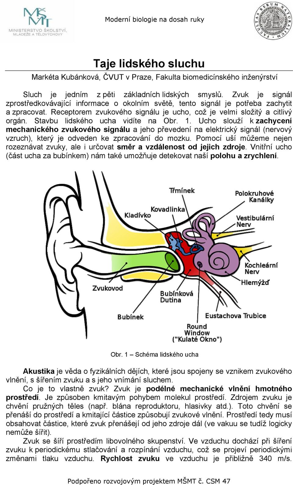 Stavbu lidského ucha vidíte na Obr. 1. Ucho slouží k zachycení mechanického zvukového signálu a jeho převedení na elektrický signál (nervový vzruch), který je odveden ke zpracování do mozku.