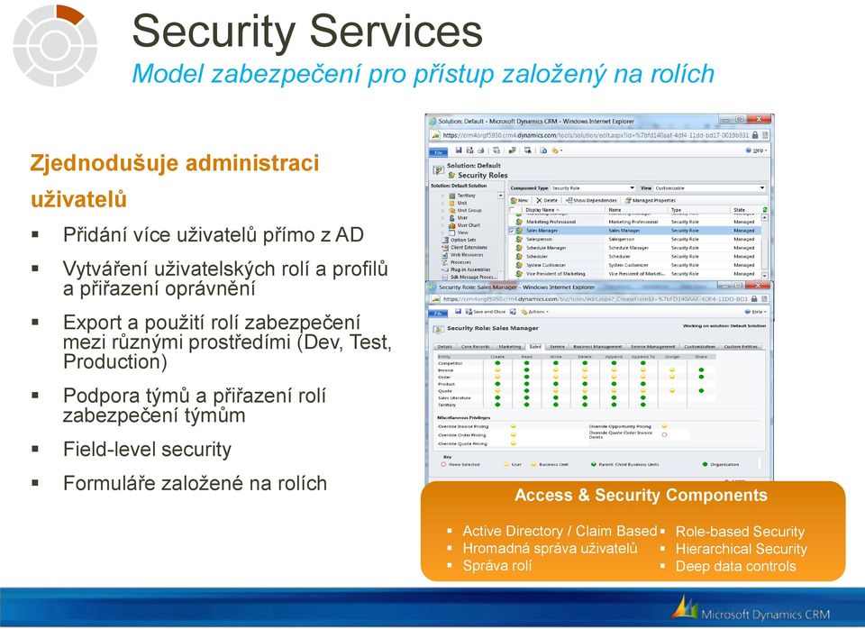 Test, Production) Podpora týmů a přiřazení rolí zabezpečení týmům Field-level security Formuláře založené na rolích Access & Security