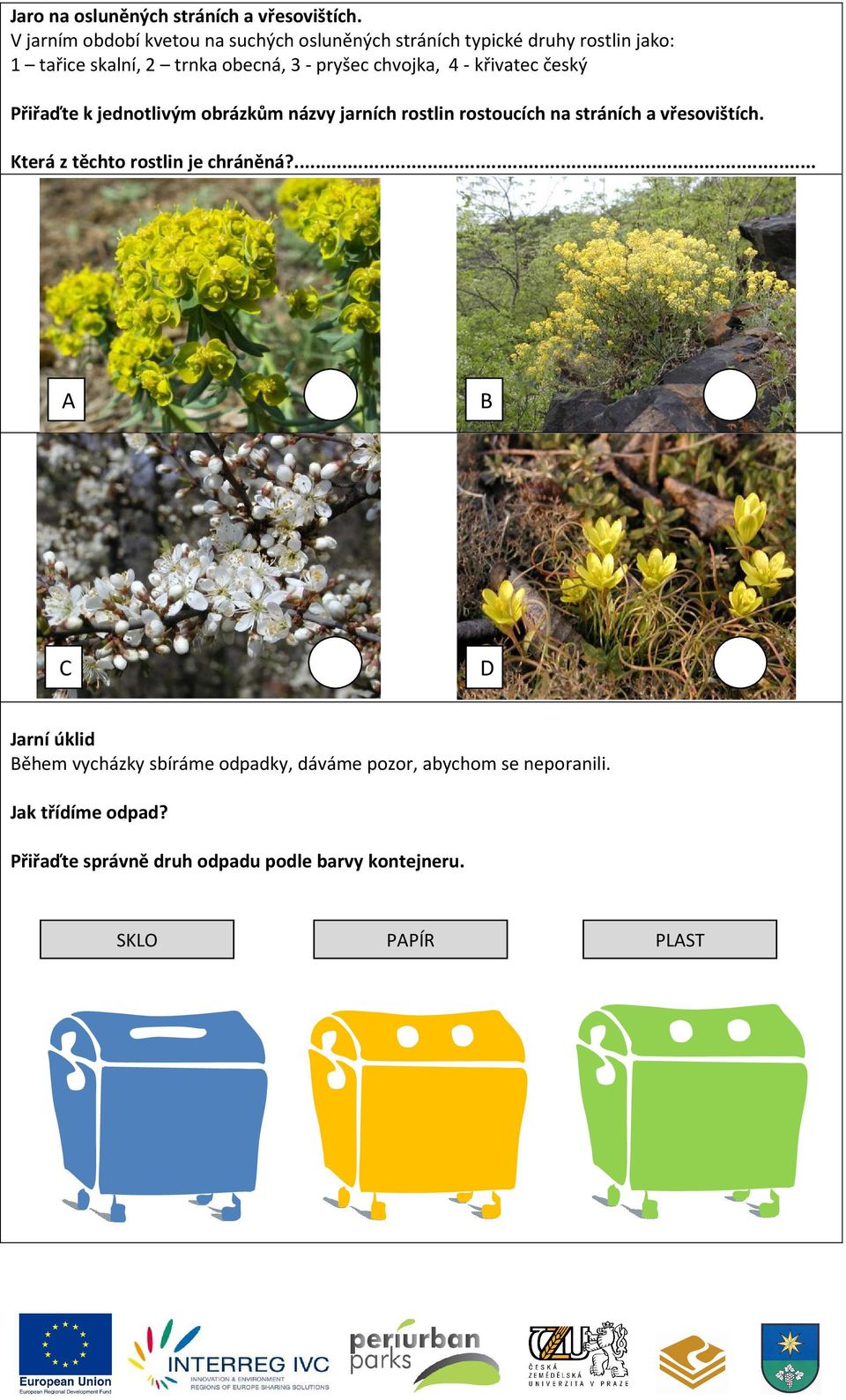 chvojka, 4 - křivatec český Přiřaďte k jednotlivým obrázkům názvy jarních rostlin rostoucích na stráních a vřesovištích.