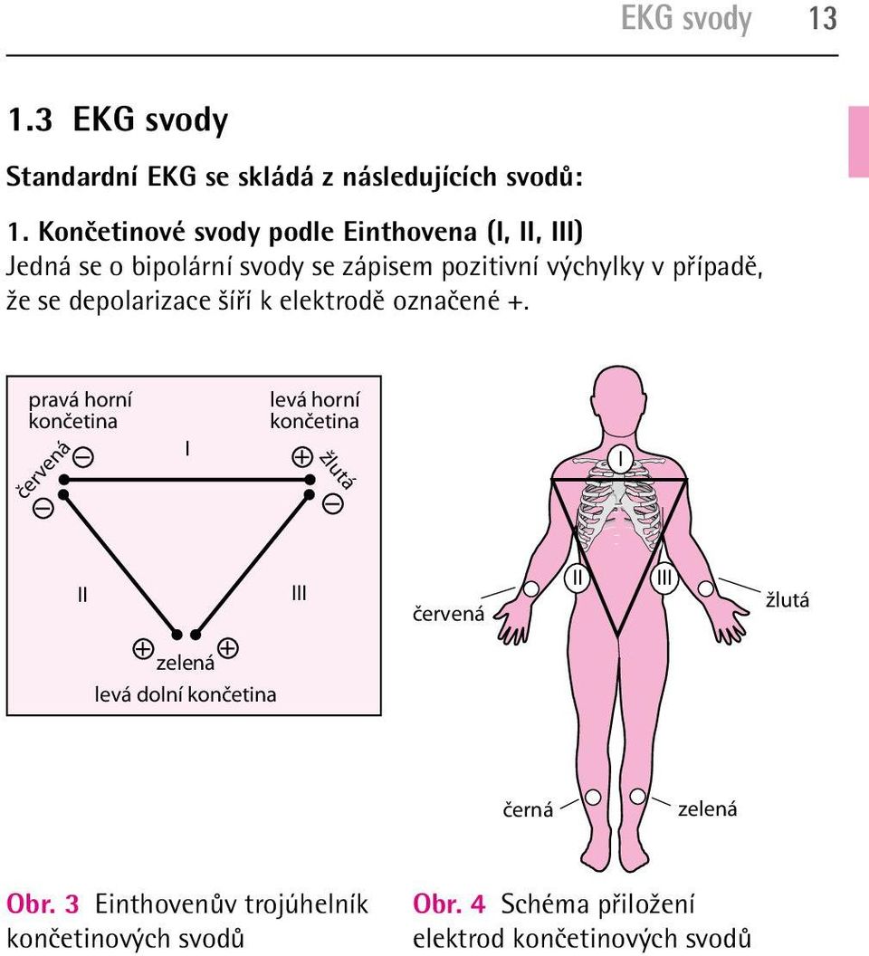 se depolarizace šíří k elektrodě označené.